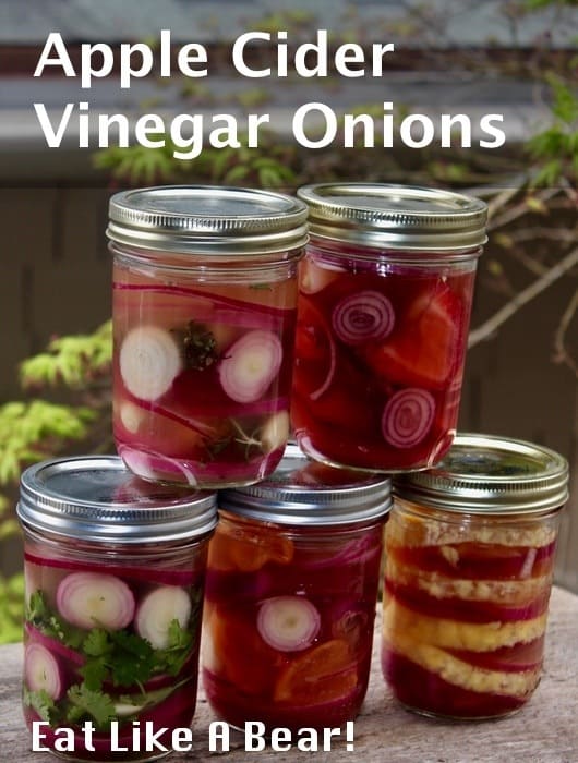 Pickled Onion in Herbs, Spices, and Apple Cider Vinegar!