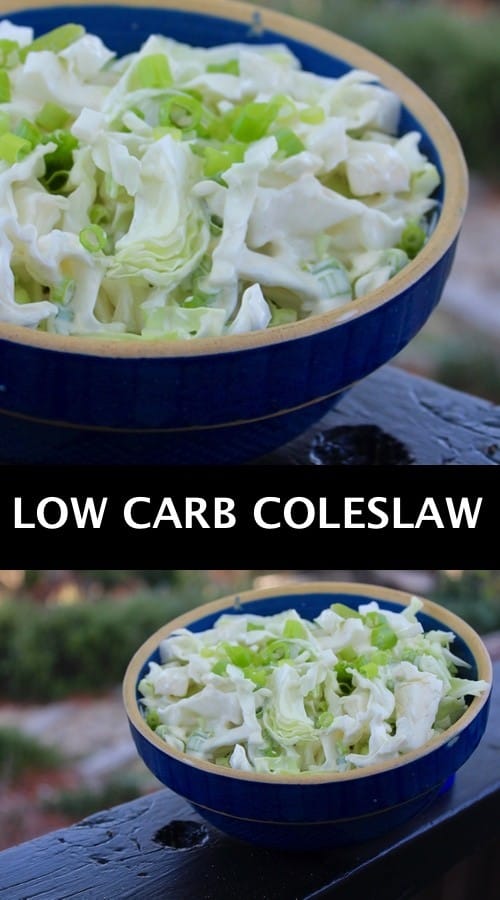 Keto Coleslaw Dressing (Low Carb, Keto) Eat Like a Bear!