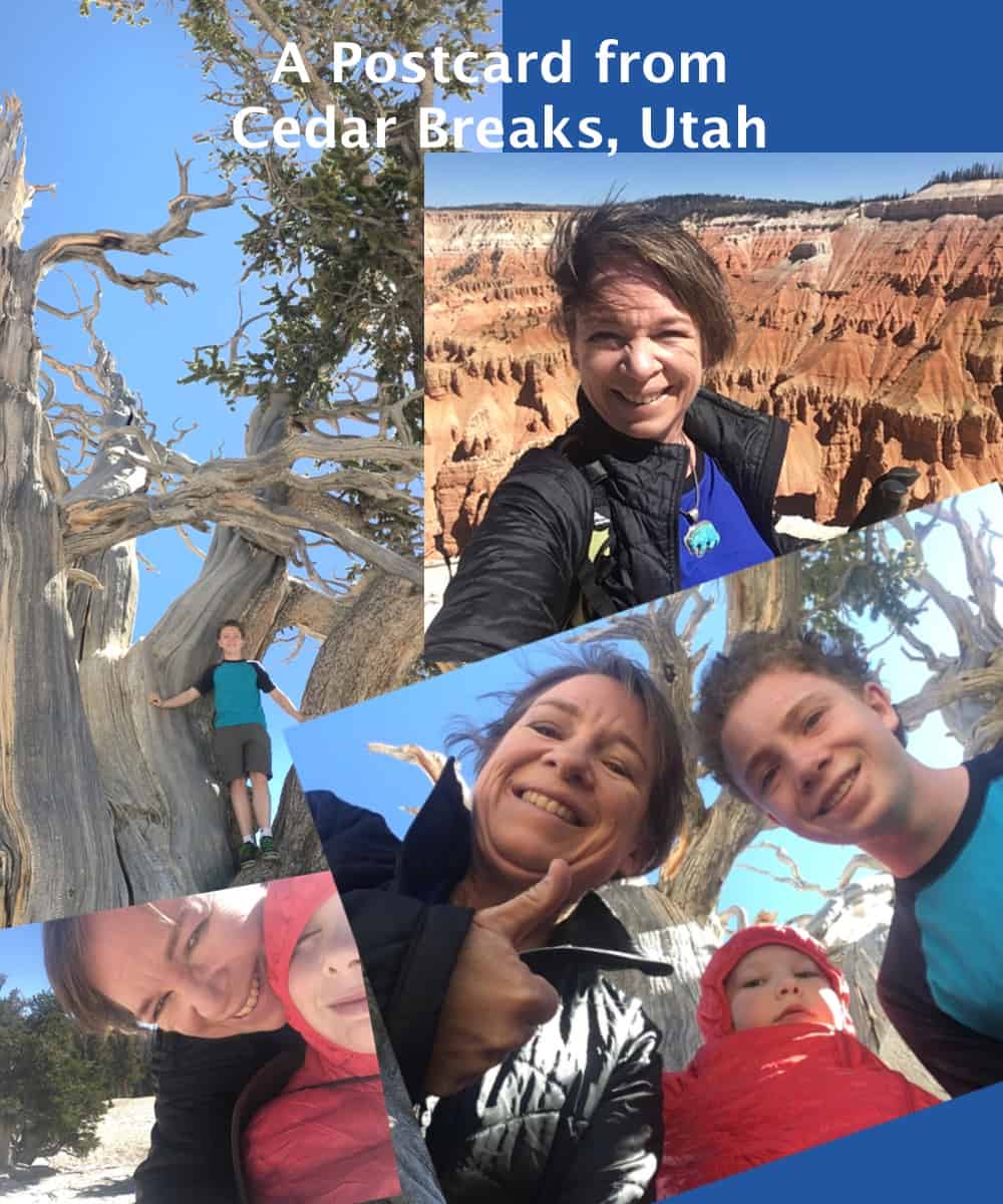 Family photos from Cedar Breaks National Monument.