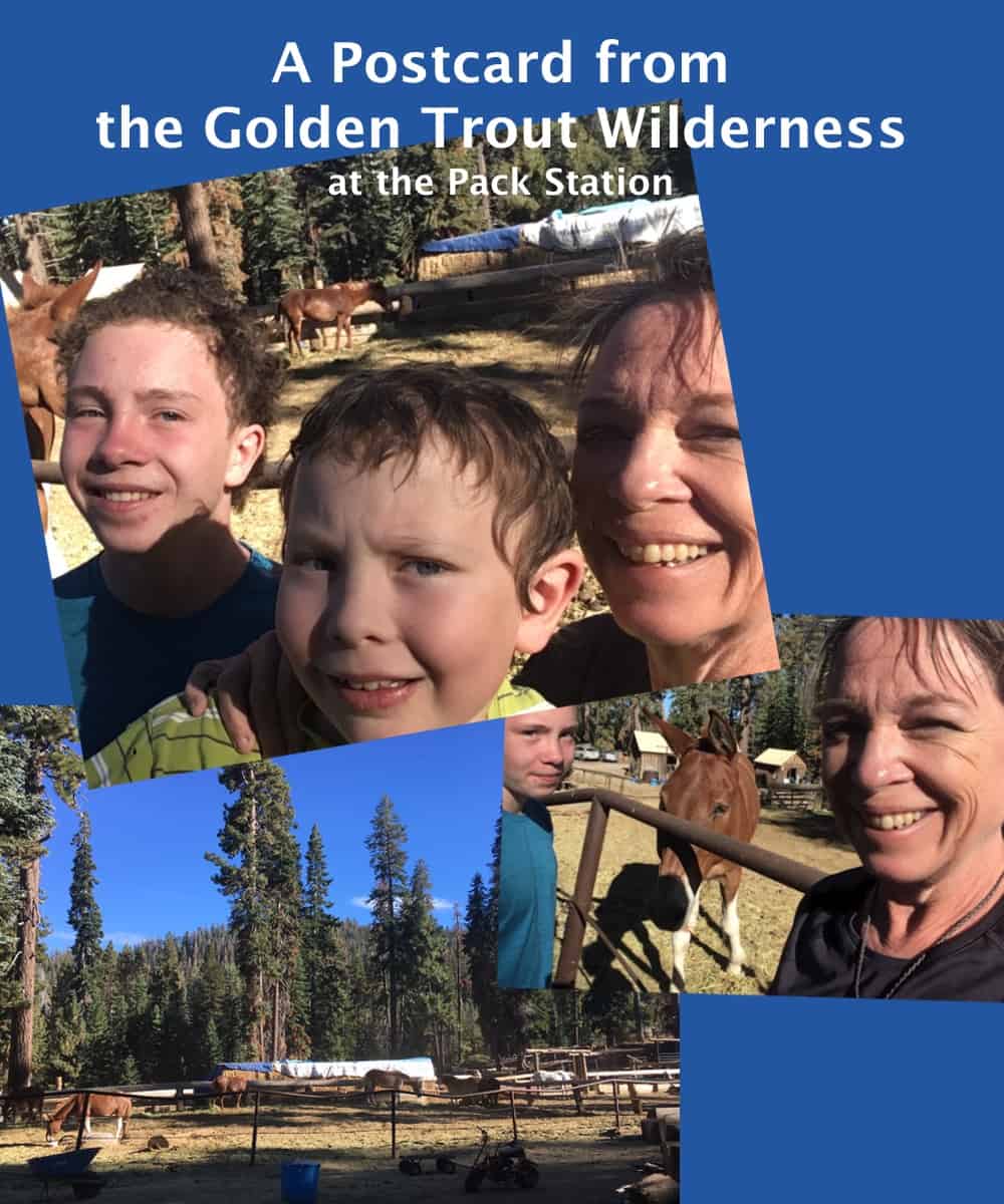 Amanda and sons with the mules at a pack station in the Golden Trout Wilderness
